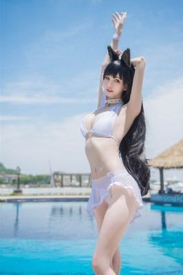 国产app功能_DVD高清视频播放
